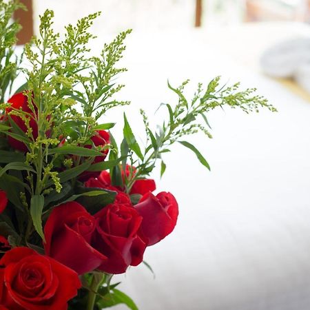 Ilalo Garden Hotel & Restaurant Quito Dış mekan fotoğraf