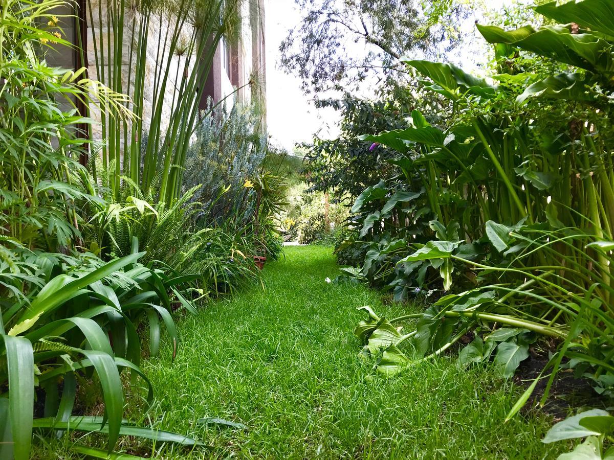 Ilalo Garden Hotel & Restaurant Quito Dış mekan fotoğraf
